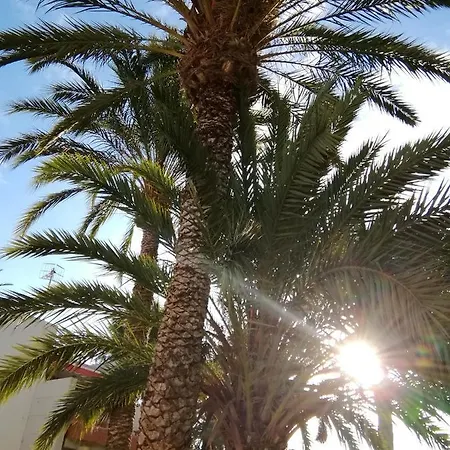 Cozy With Amazing Views To Garden Next To The Ocean Apartment Costa Del Silencio